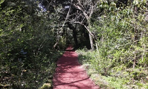 C360_2016-04-09-10-25-38-325.jpg?type=w773