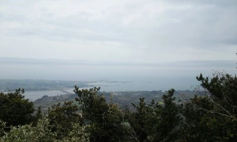 20160413_1137253.jpg?type=w773