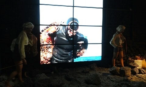 20160412_1447277.jpg?type=w773