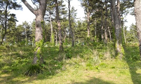 20160419_0950448.jpg?type=w773