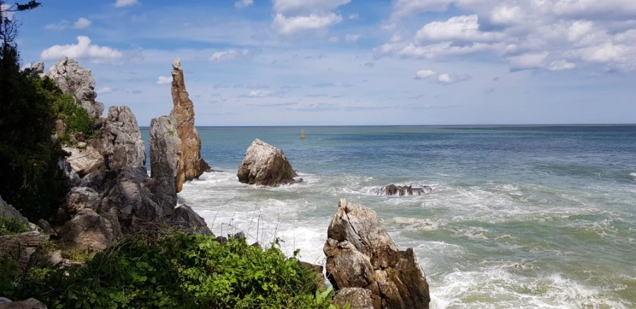 1599230417294.jpg?type=w1