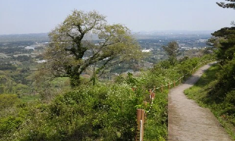 20160419_1102497.jpg?type=w773