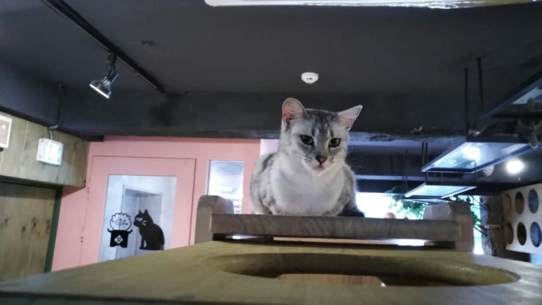 IMG_20170603_181521.jpg?type=w773