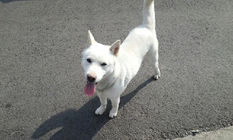 20160419_0857289.jpg?type=w773