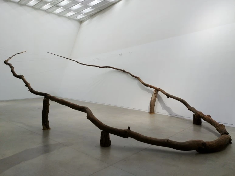 IMG_20170826_181629.jpg?type=w773