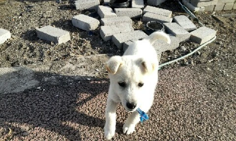 C360_2016-04-09-07-55-38-733.jpg?type=w773