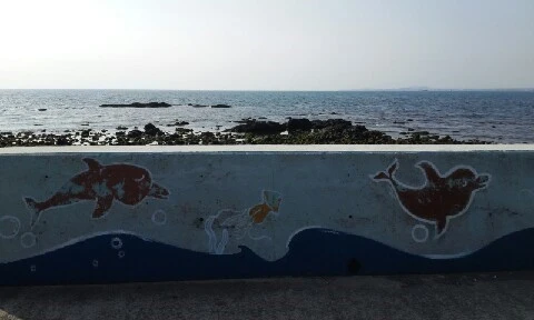 20160419_1637594.jpg?type=w773