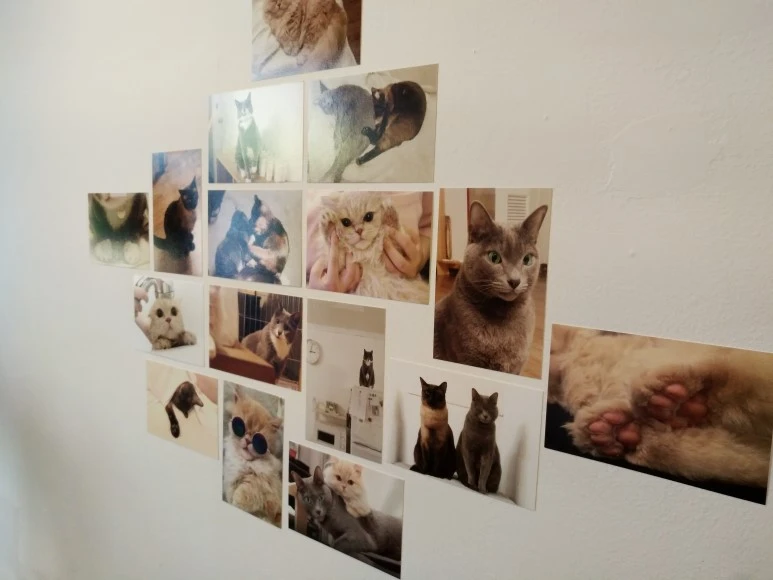 IMG_20170902_123352.jpg?type=w773