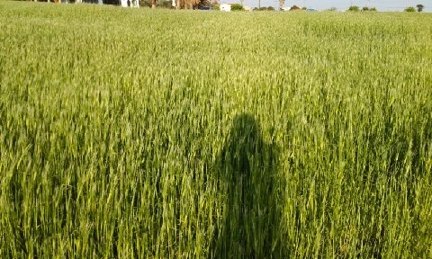 20160418_1750084.jpg?type=w773