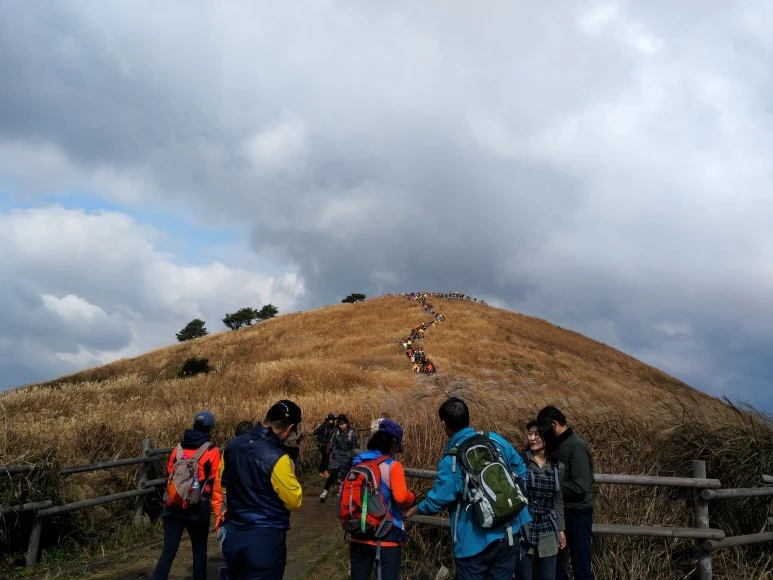 IMG_20171022_120610.jpg?type=w773