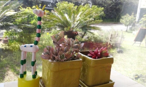 20160414_1107038.jpg?type=w773