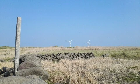 20160419_1639264.jpg?type=w773