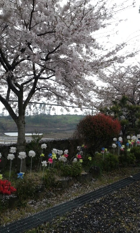 20160406_1627041.jpg?type=w773