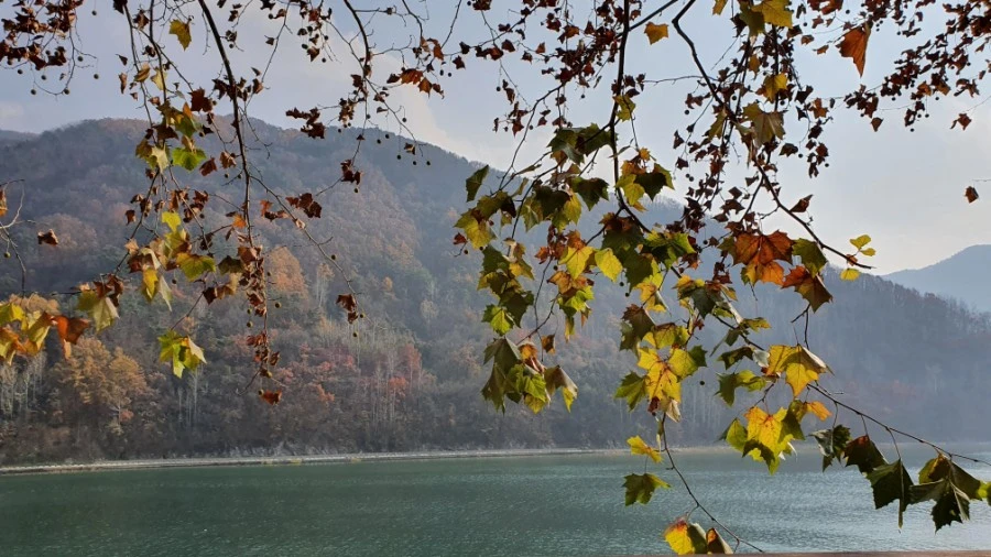 1604748023960%25EF%25BC%258D0.jpg?type=w1