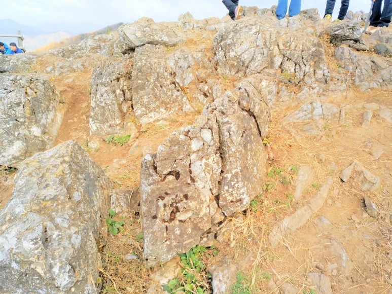 IMG_20171022_122312.jpg?type=w773