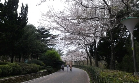 20160406_0800359.jpg?type=w2