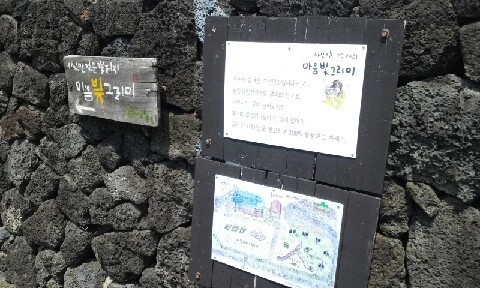 20160415_1302213.jpg?type=w773