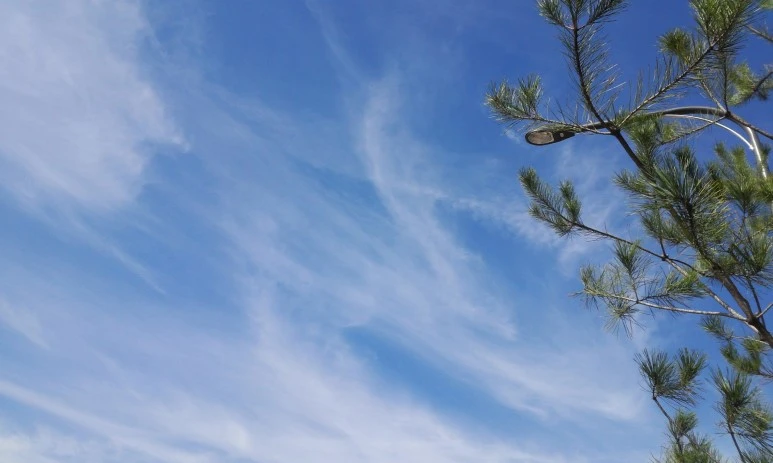 20161009_1354279.jpg?type=w773