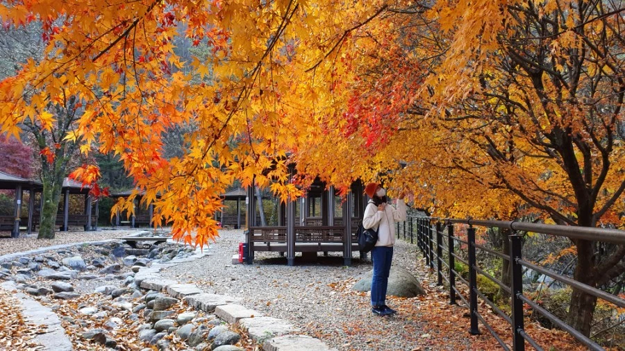 1604840420468%25EF%25BC%258D4.jpg?type=w1