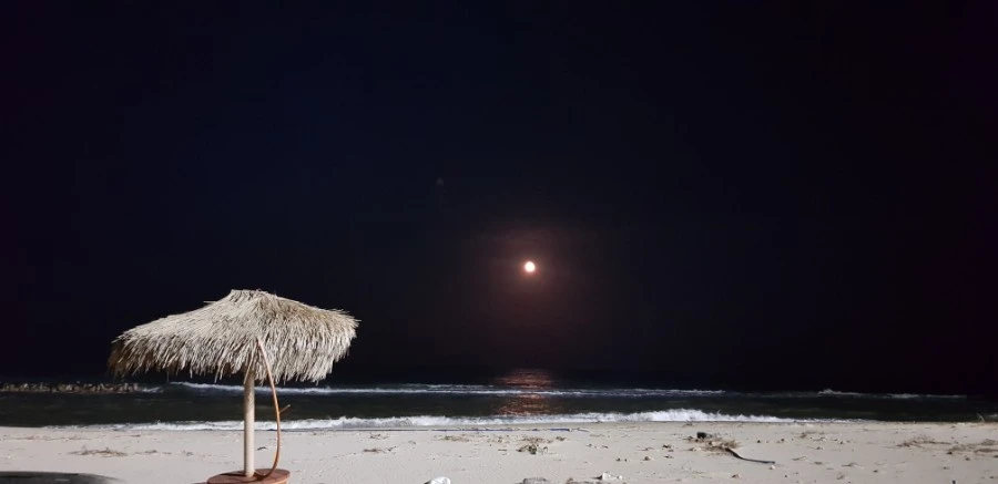 1599230437991.jpg?type=w1