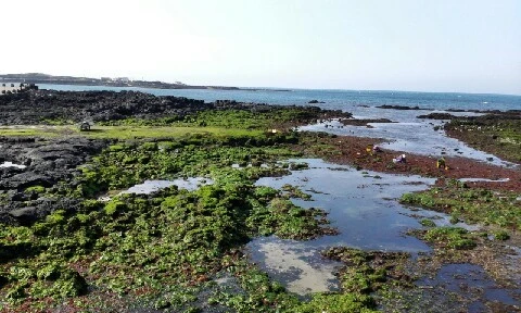 C360_2016-04-08-15-39-33-918.jpg?type=w773