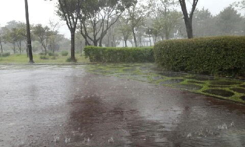 20160416_1611217.jpg?type=w773