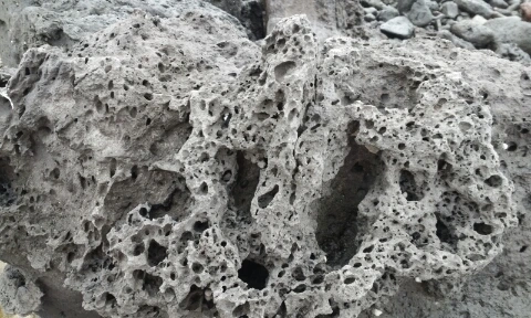 20160406_1426107.jpg?type=w2