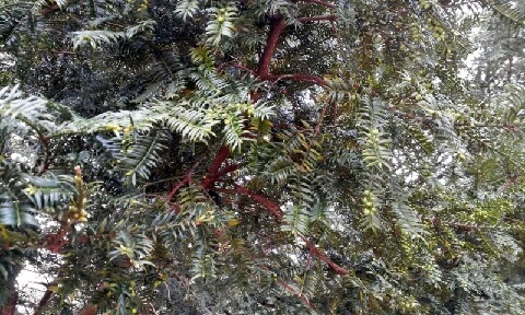 C360_2016-04-09-10-10-05-216.jpg?type=w773