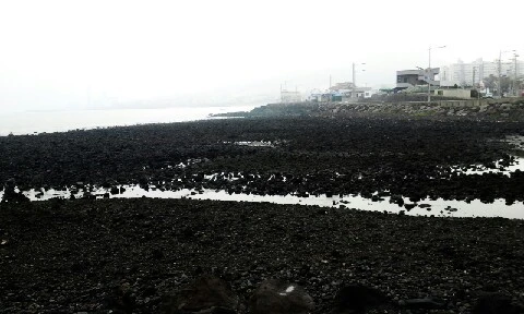 C360_2016-04-11-09-02-05-187.jpg?type=w773