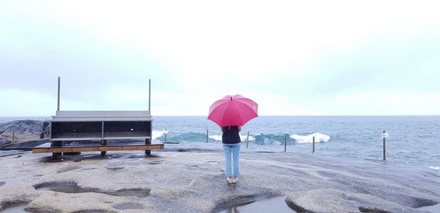 1599230206487.jpg?type=w1