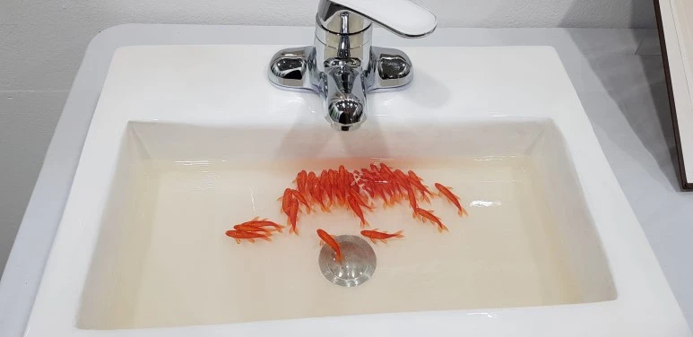 20190223_162914.jpg?type=w773