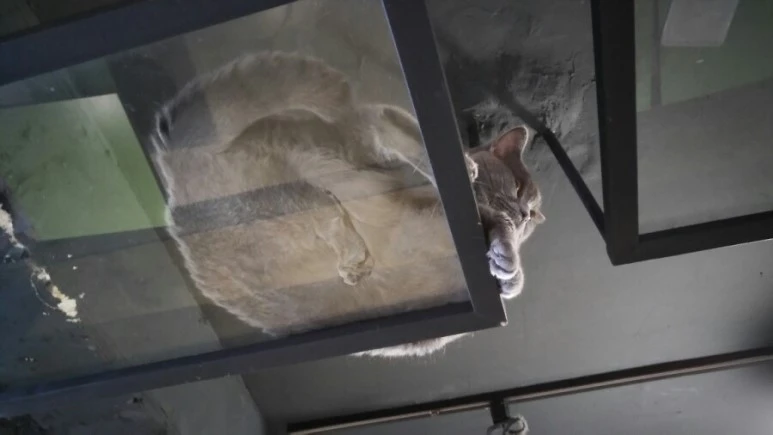 IMG_20170603_181637.jpg?type=w773