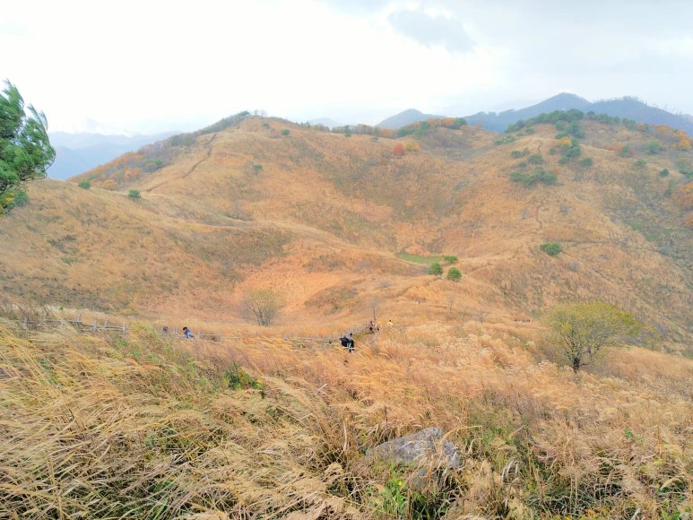 IMG_20171022_121617.jpg?type=w773