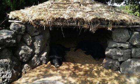 20160414_1334223.jpg?type=w773