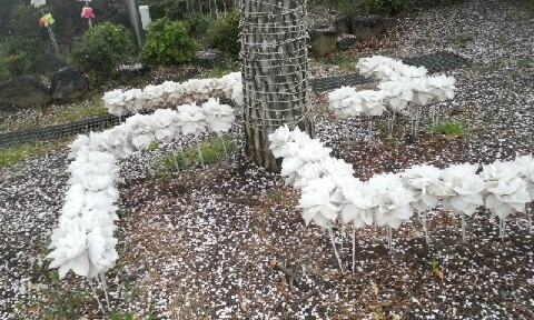 20160406_1625371.jpg?type=w773