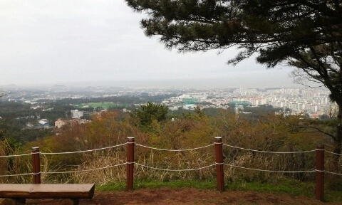 20160406_0837226.jpg?type=w2