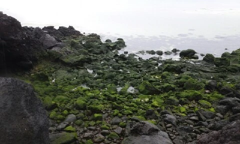 20160406_1528049.jpg?type=w773