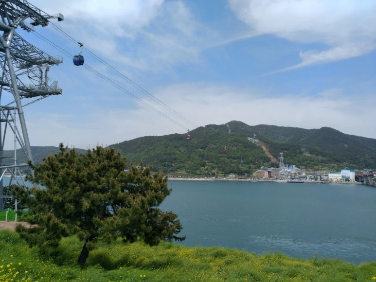 IMG_20180505_133034.jpg?type=w773