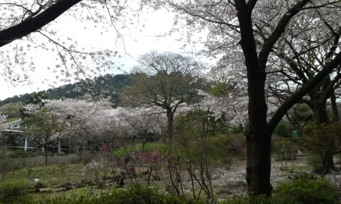 20160406_0803292.jpg?type=w2