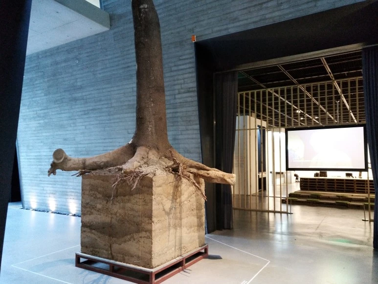 IMG_20170826_180853.jpg?type=w773