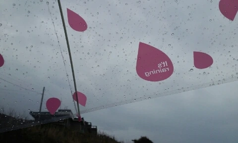 20160406_1456193.jpg?type=w2