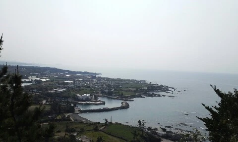 20160419_0950098.jpg?type=w773