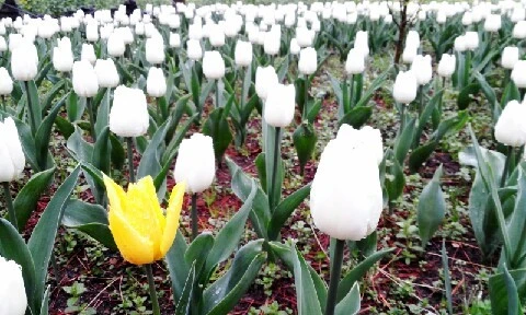 C360_2016-04-07-10-54-05-299.jpg?type=w773