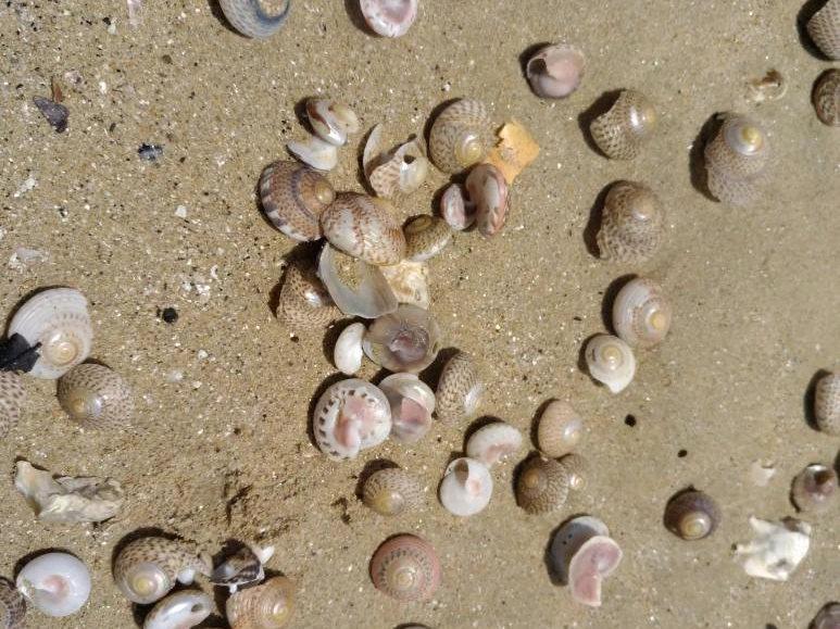 IMG_20180505_120324.jpg?type=w773