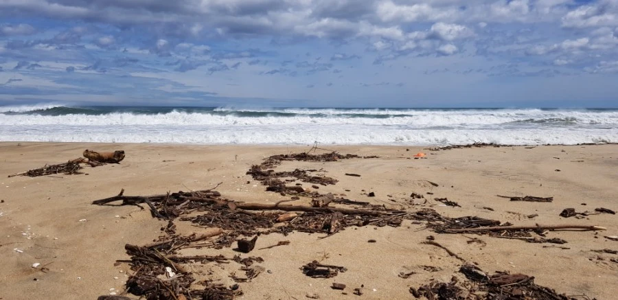 1599230407472.jpg?type=w1