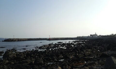 20160419_1731555.jpg?type=w773