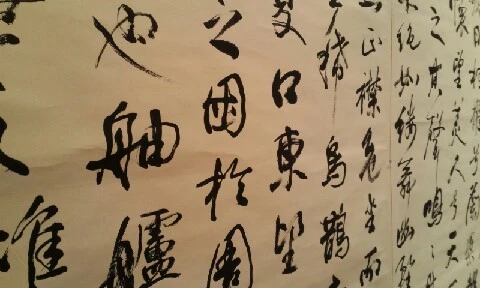 20160416_0959145.jpg?type=w773