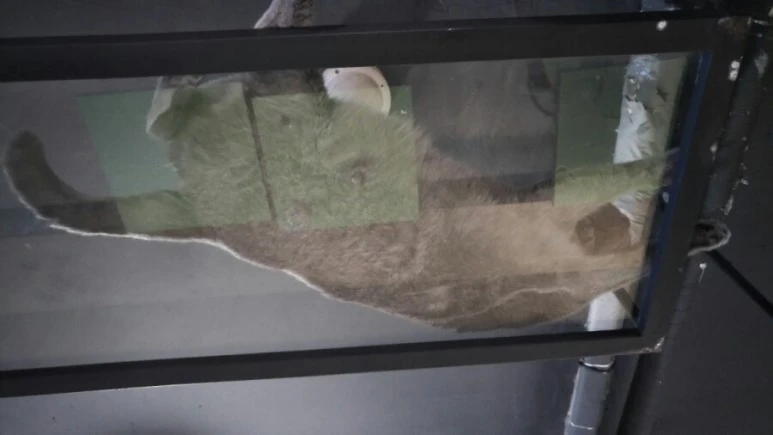 IMG_20170603_184512.jpg?type=w773