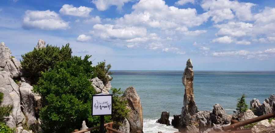 1599230416684.jpg?type=w1