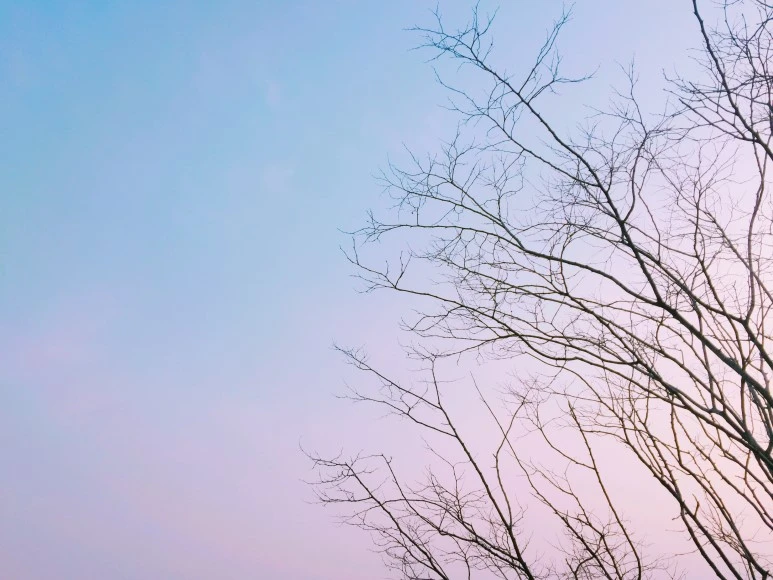 1490672736545.jpg?type=w773